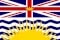 ON flag