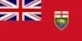 ON flag