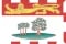 ON flag